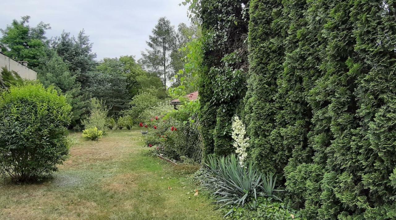 Dom Nad Wisla Villa Czernichow  Buitenkant foto